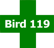 Bird 119