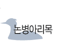 논병아리목