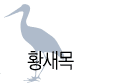 황새목