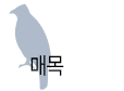 매목