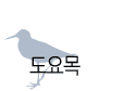 도요목