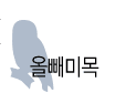 올빼미목