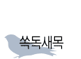 쏙독새목