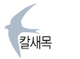 칼새목
