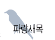 파랑새목