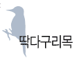 딱다구리목