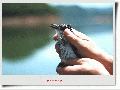 새 이름 궁금합니다.