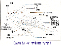 환경부, 조류의 관...