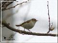 무엇일까요 ???