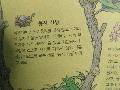 뻐꾸기가 개개비의...
