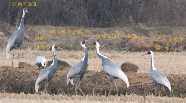 두 가족 이야기