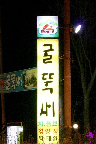 굴뚝새