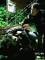 특종