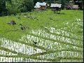 탐조기행 Doi Inth...