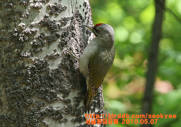 클릭하시면 원본 이미지를 보실 수 있습니다.