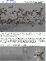 4대강 살리기와 낙...