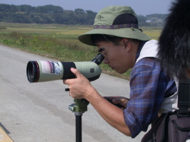 느티나무