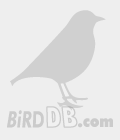 프로필 사진