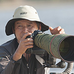 새들이랑