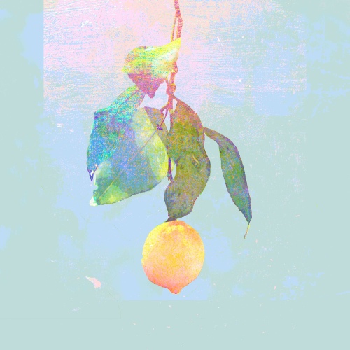 프로필 사진